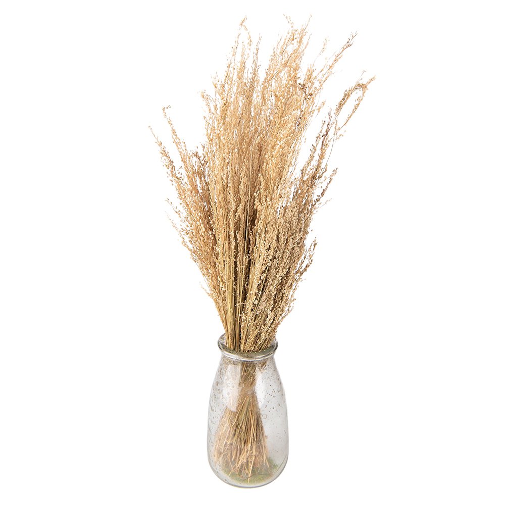 Droogbloemen 55 cm Beige Droogbloemen Droogboeket
