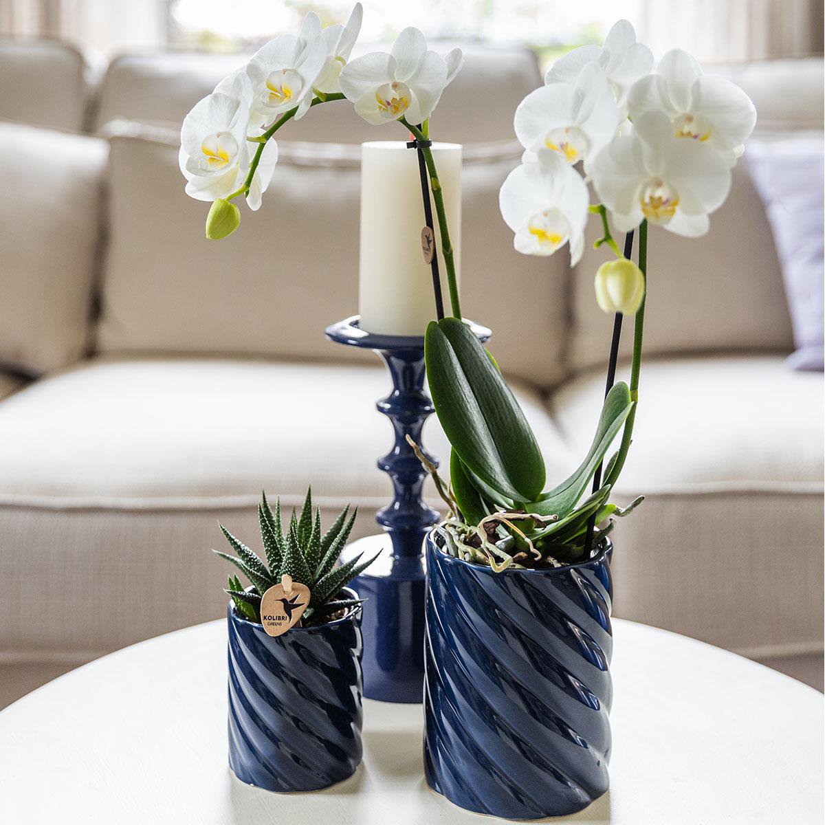 Blue Ceramic Decorative Pot Ø9 cm