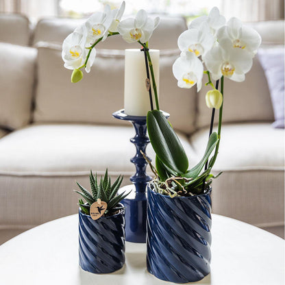 Blue Ceramic Decorative Pot Ø9 cm