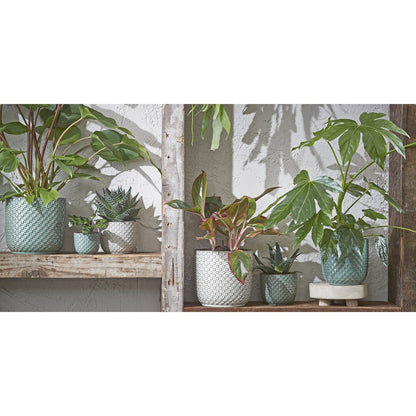Flowerpot indoor Daan White