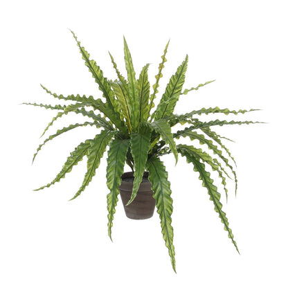 Kunstplant Asplenium 66x54x66 cm groen