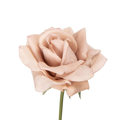 Kunstbloem Roos 35 cm Beige Kunststof