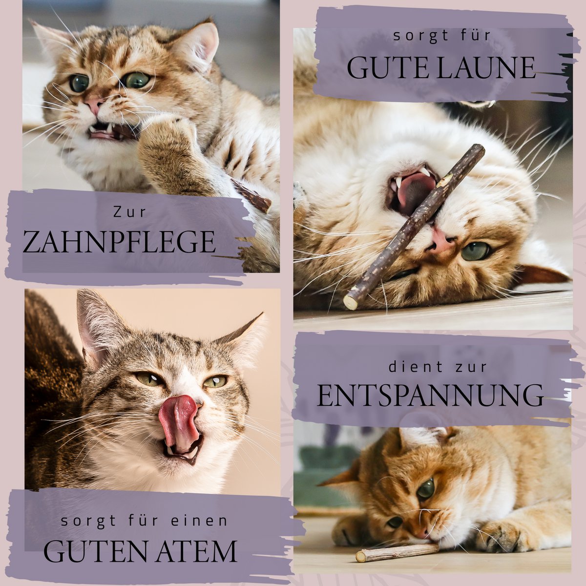 NE & NO® Gift Set Cats Well -being Herbs: Catnint + Valerian Spray + Matatabi Sticks