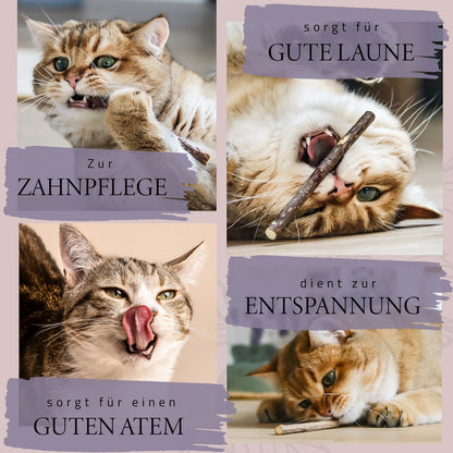 NE & NO® Gift Set Cats Well -being Herbs: Catnint + Valerian Spray + Matatabi Sticks