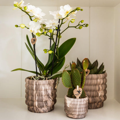 Plantenpot keramiek Ø9 cm donker marmerlook
