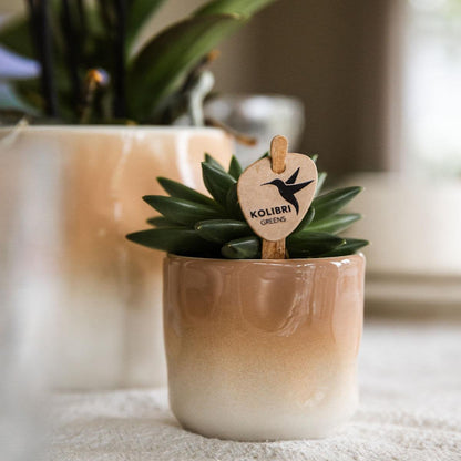 Decoratieve Bloempot met Kleurverloop - Bruin Ø6cm