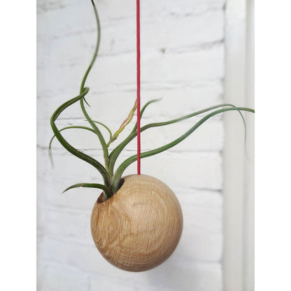 Hangbol licht eiken Ø10 cm