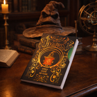 Harry Potter notebook, A5 diary