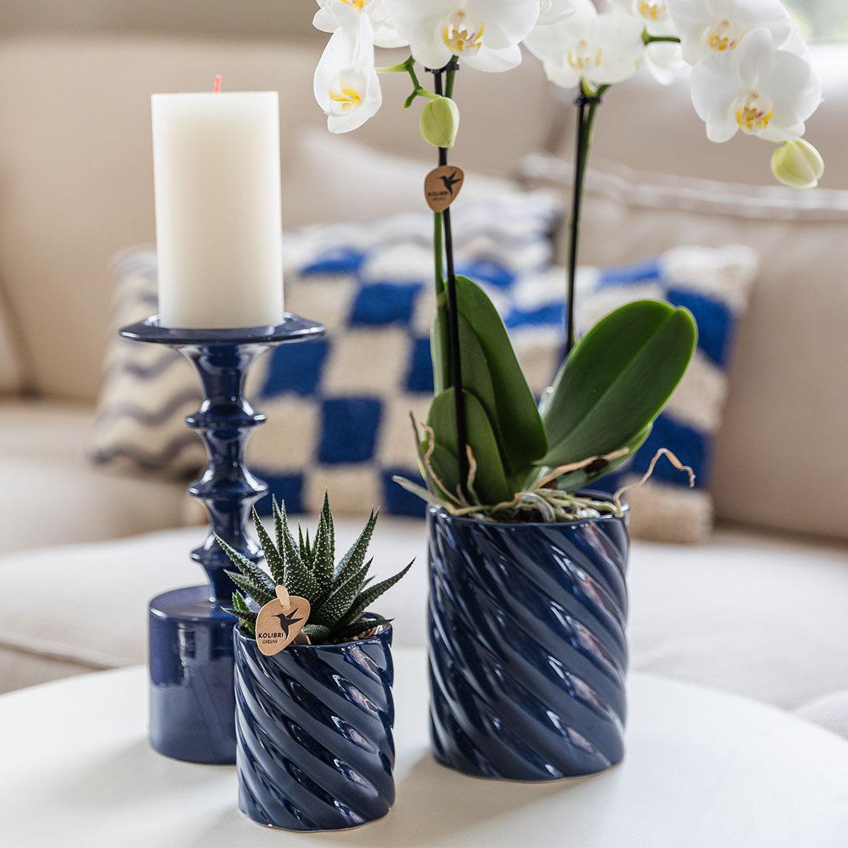 Blue Ceramic Decorative Pot Ø9 cm