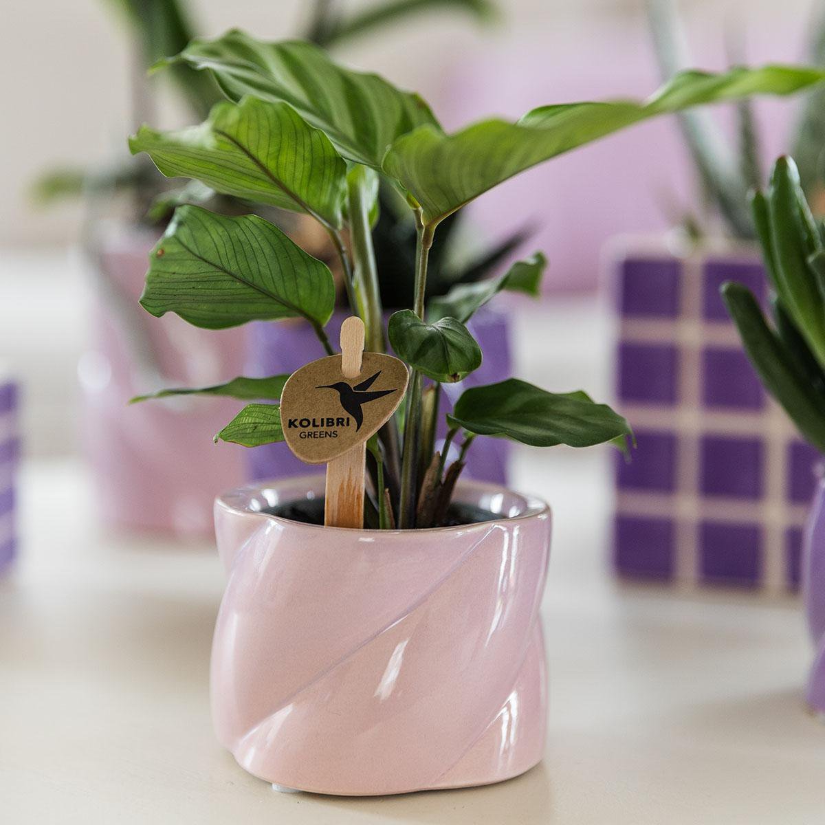 Sierpot keramiek roze Ø6x6 cm