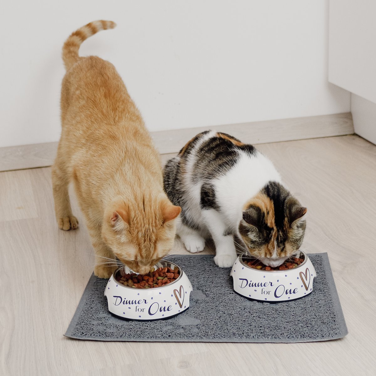 Honden voerbak set 2x RVS melamine wit goud