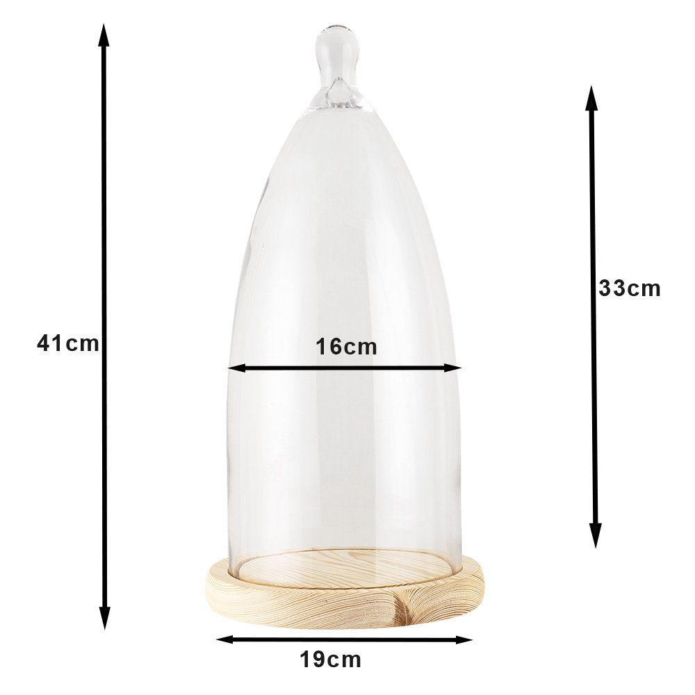 Glazen stolp 19x41 cm hout