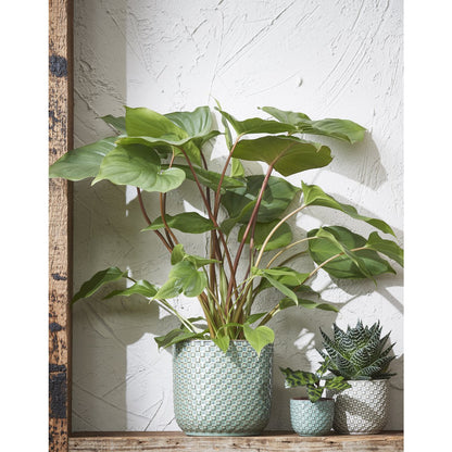 Indoor flower pot Daan Groen