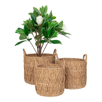Mand zeegras naturel set van 3