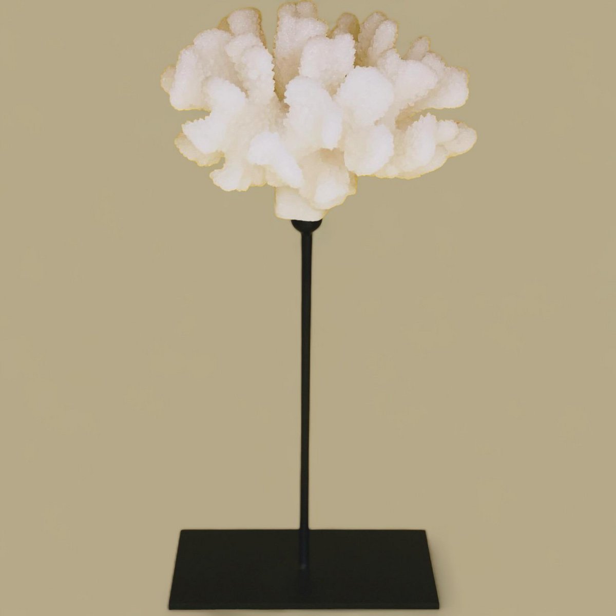 Koraaldecoratie met metalen standaard H30xB25xD25 cm wit
