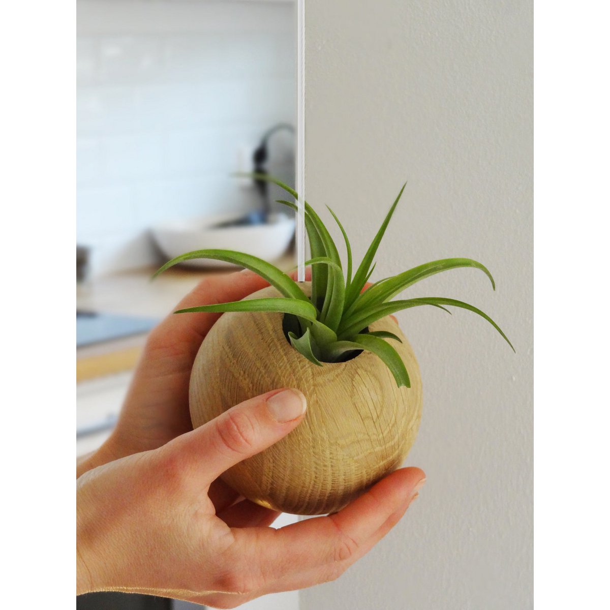Hangbol licht eiken Ø10 cm