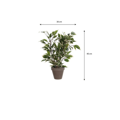Kunstplant Ficus Natasja 40 cm groen