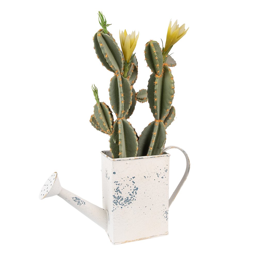 Decoratie gieter 31x9x17 cm beige ijzer