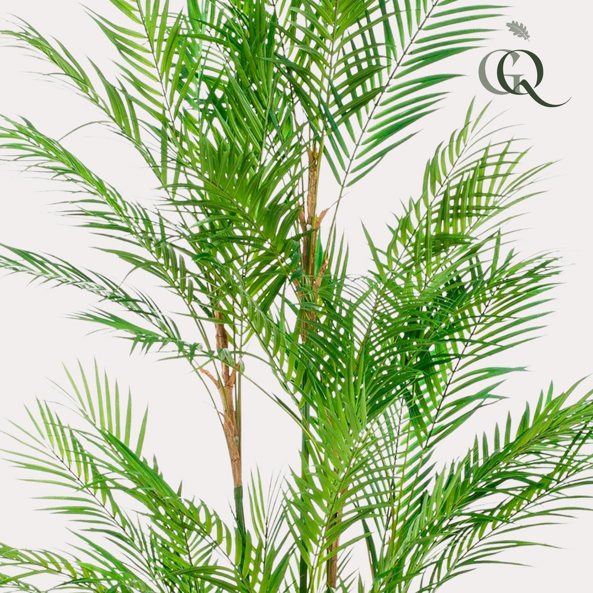 Kunstplant Bergpalm 180 cm groen