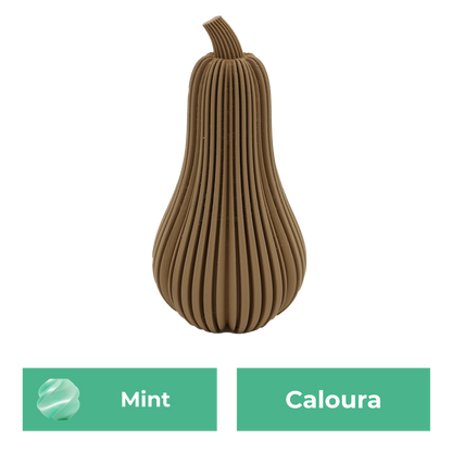 Caloura Pumpkin