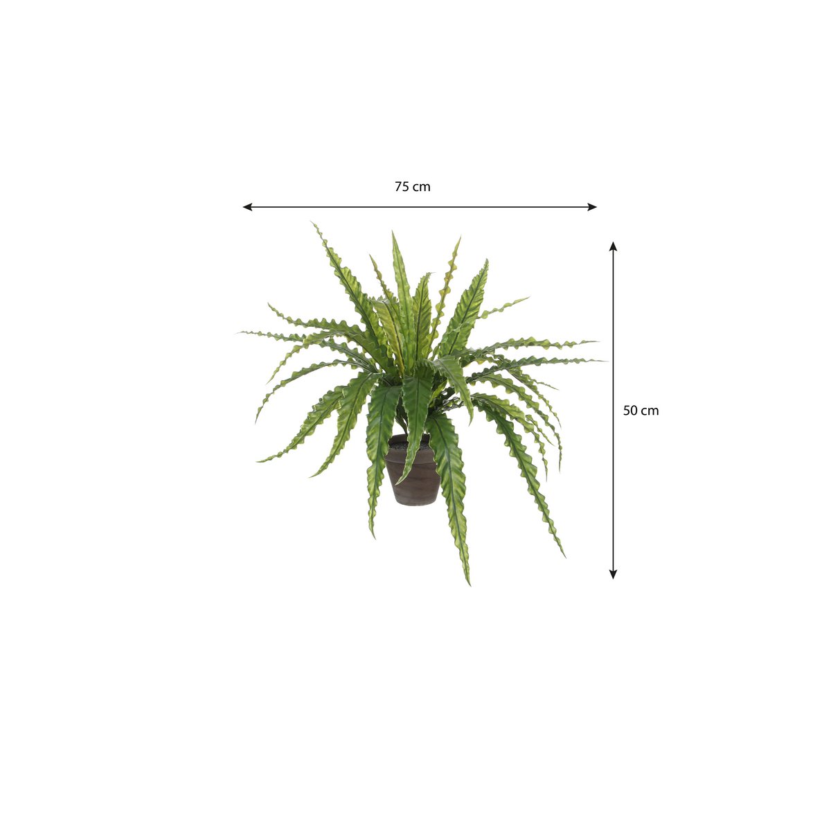 Kunstplant Asplenium 66x54x66 cm groen