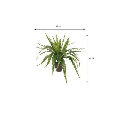 Kunstplant Asplenium 66x54x66 cm groen