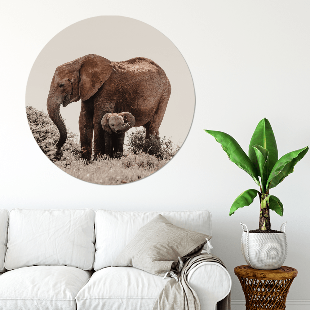 Wall circle baby elephant