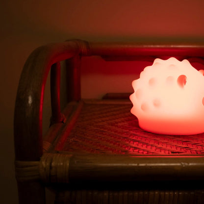 LED nachtlamp egel rood warm wit USB oplaadbaar