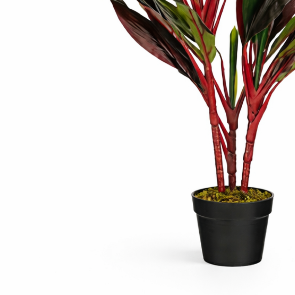 Kunstplant Cordyline rood 90 cm