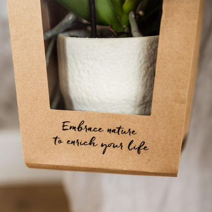 Cadeautasje orchidee 9 cm pot wit