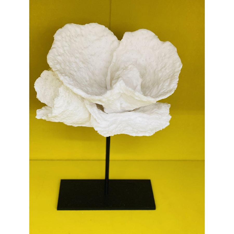 Koraaldecoratie polyresin 25x25x30 cm