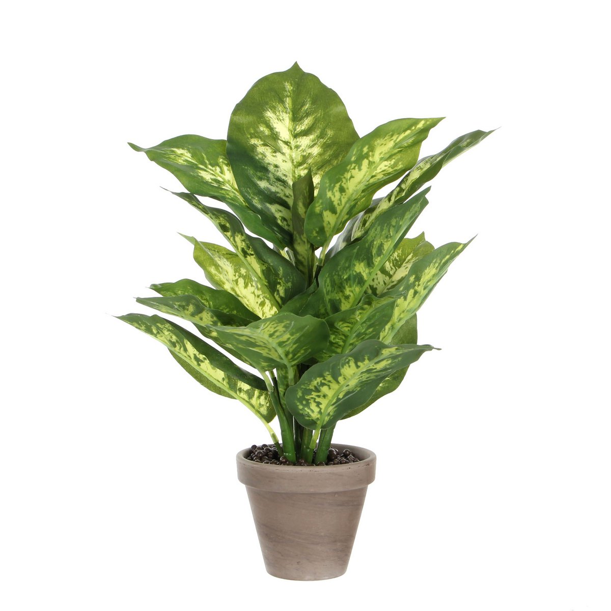 Kunstplant Dieffenbachia 40 cm groen