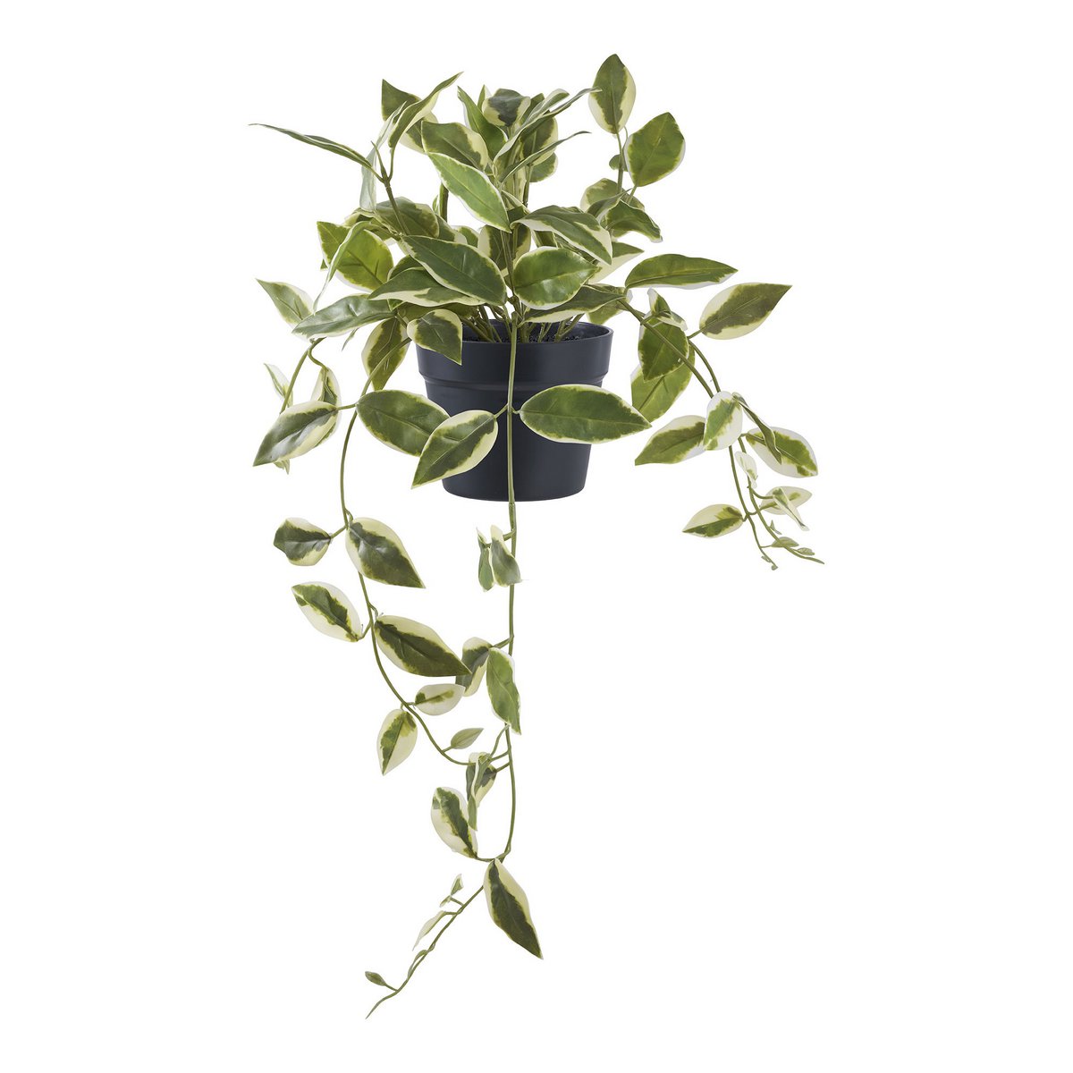 Kunstplant Hoya Carnosa groen wit 33 cm