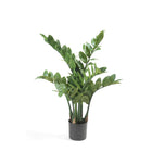 Kunstplant Zamioculcas 70 cm