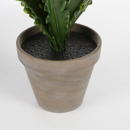 Kunstplant Asplenium 66x54x66 cm groen