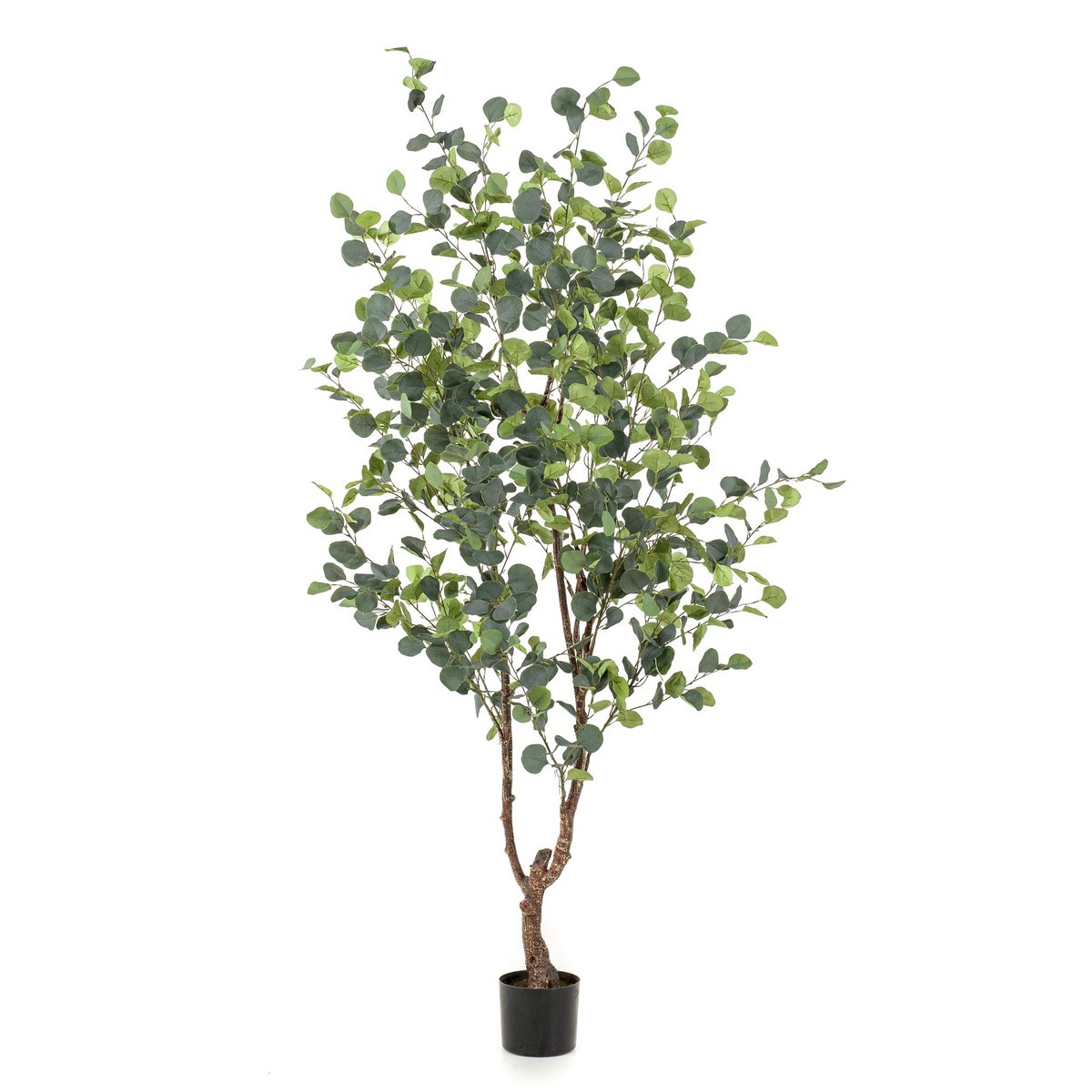 Artificial Plant - Eucalyptus - Blue Gum Tree - 180 cm