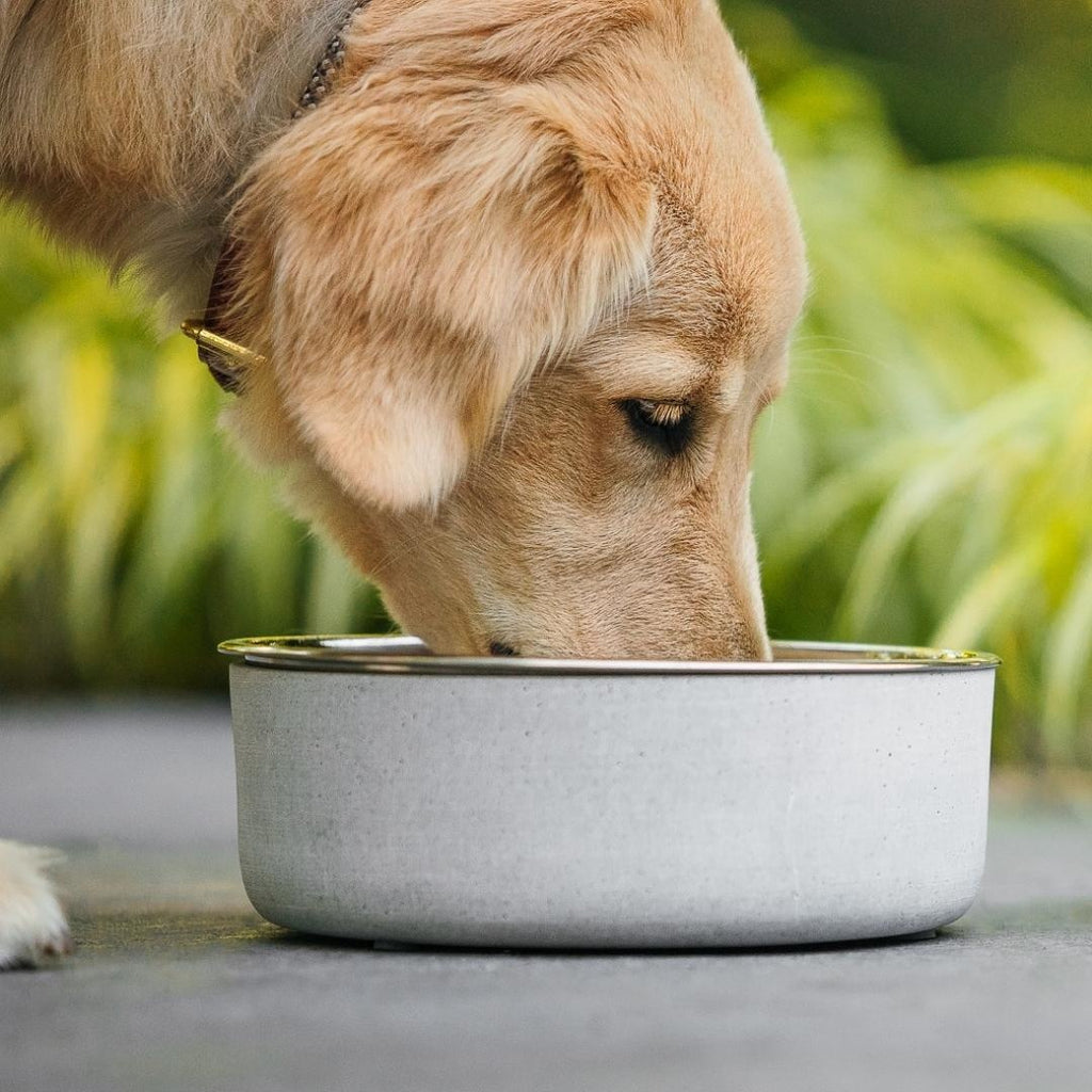 Concrete Bowl