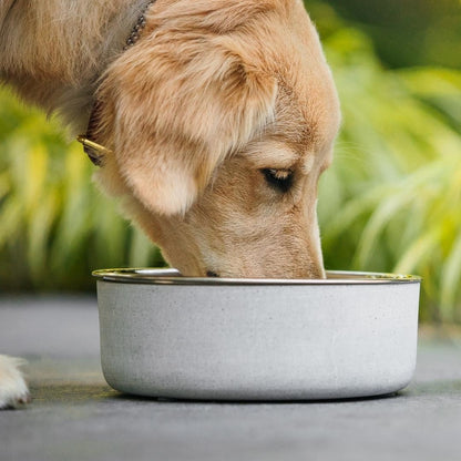 Concrete Bowl
