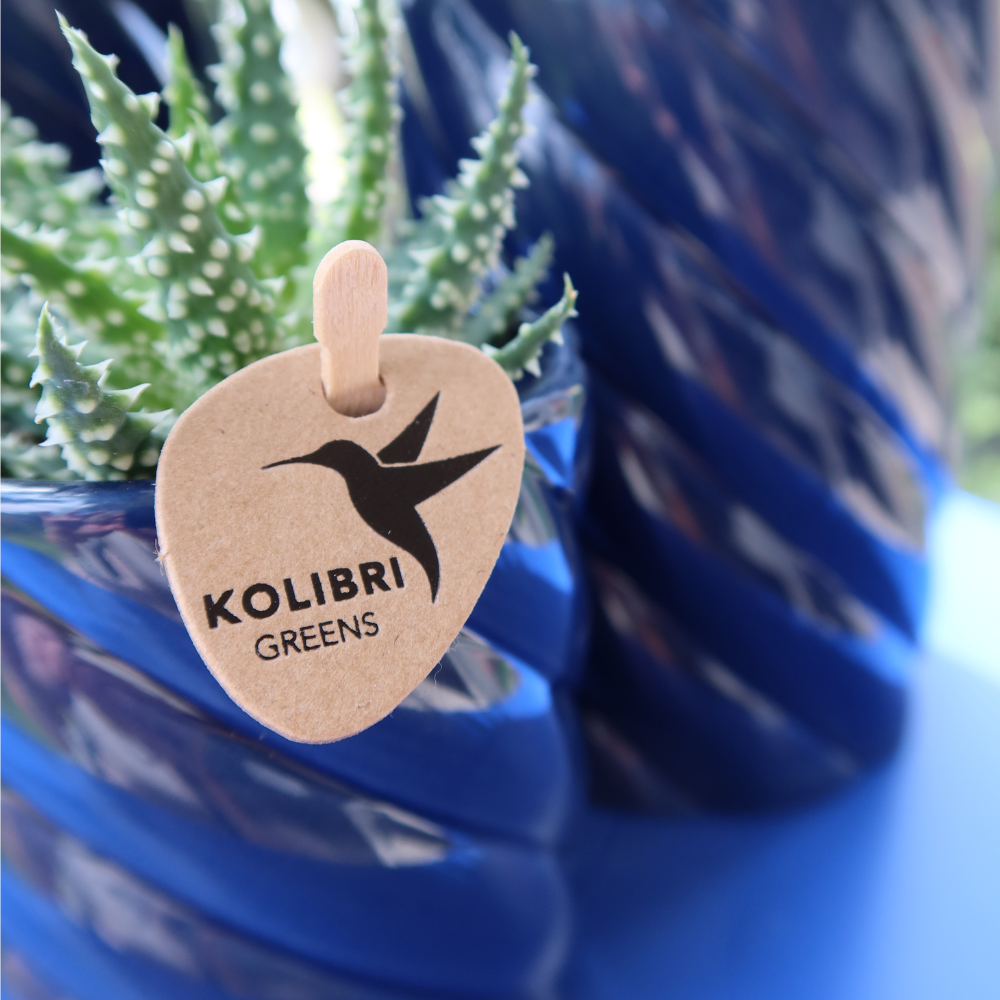 Blue Ceramic Decorative Pot Ø9 cm