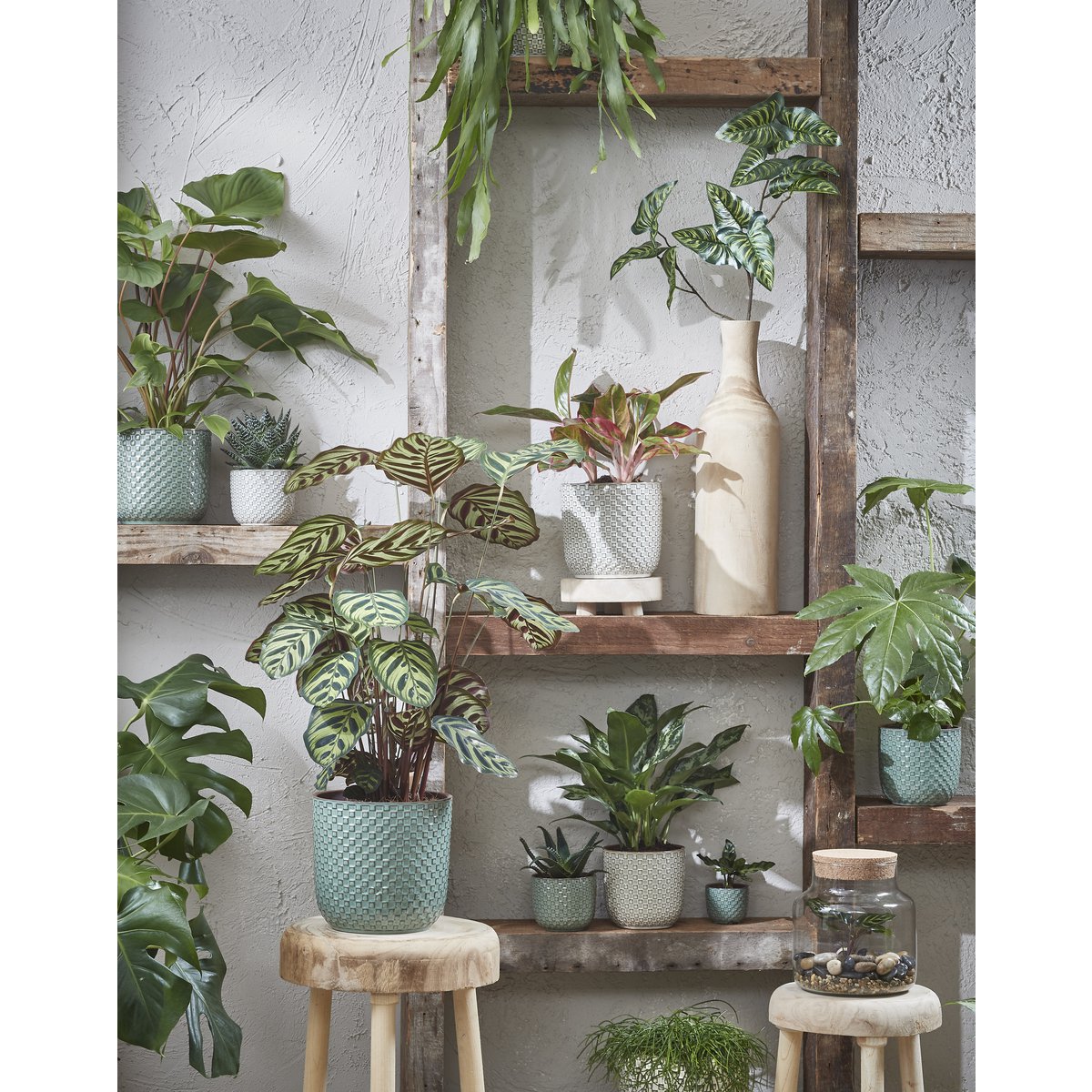 Flowerpot indoor Daan White