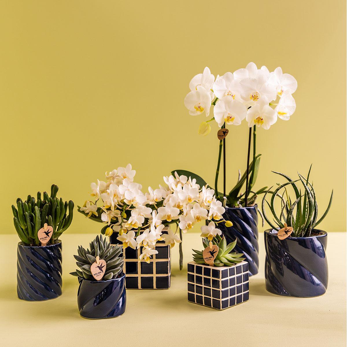 Sierpot keramiek rond blauw 6 cm