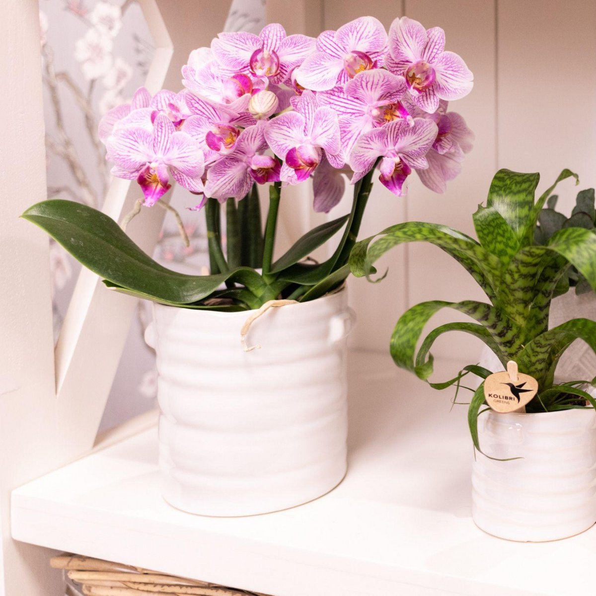 Handgemaakte Keramieken Bloempot Wit Ø9 cm