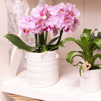 Handgemaakte Keramieken Bloempot Wit Ø9 cm