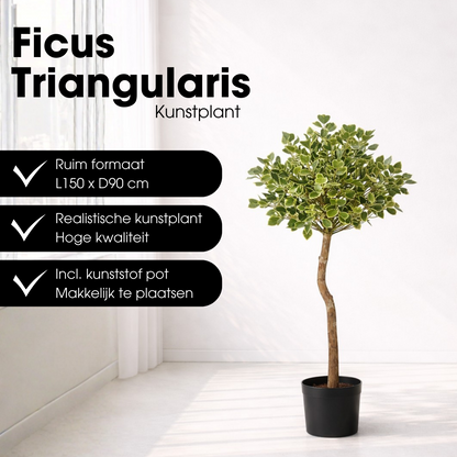 Kunstplant Ficus Triangularis 150 cm groen