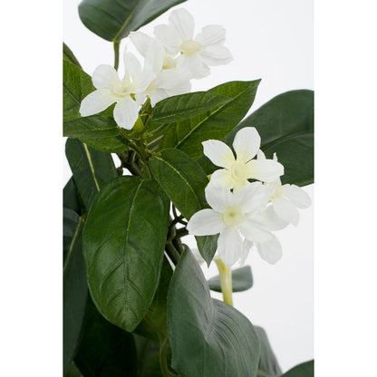 Kunstplant Stephanotis 50x40 cm wit