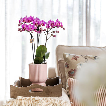 Sierpot keramiek Ø12 cm roze