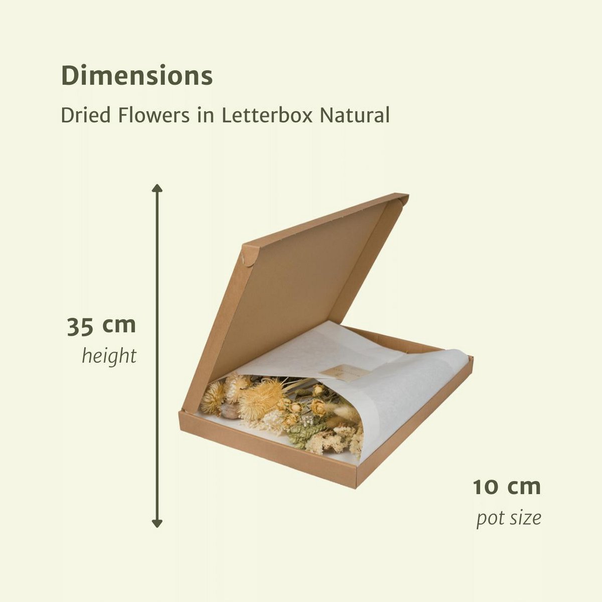 Droogbloemenmix natuurlijk