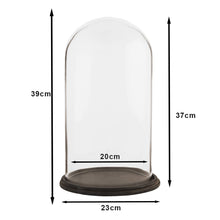 Cloche Ø 23x39 cm Glass Glass Cloche