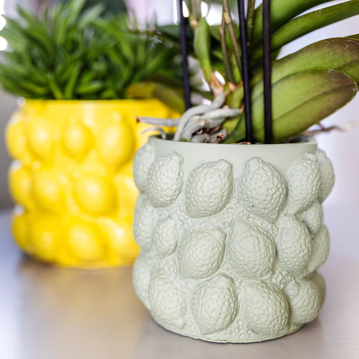 Groene Keramieken Sierpot met Limoenprint Ø9 cm