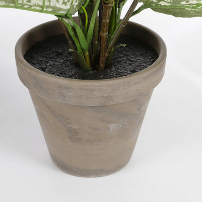 Kunstplant Dieffenbachia 70 cm groen
